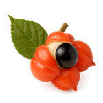 Guarana