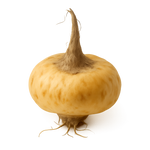 Maca