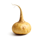 Maca