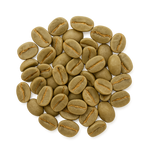 SVETOL® – Café verde
