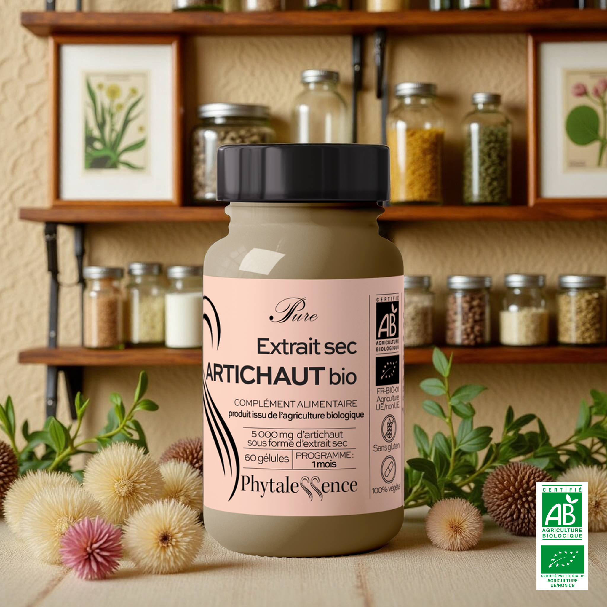 ARTICHAUT - Mono plante Bio