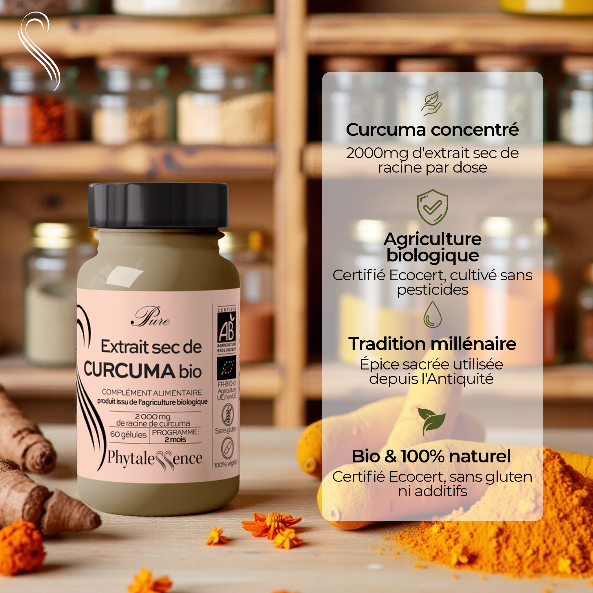 CURCUMA - Mono plante Bio