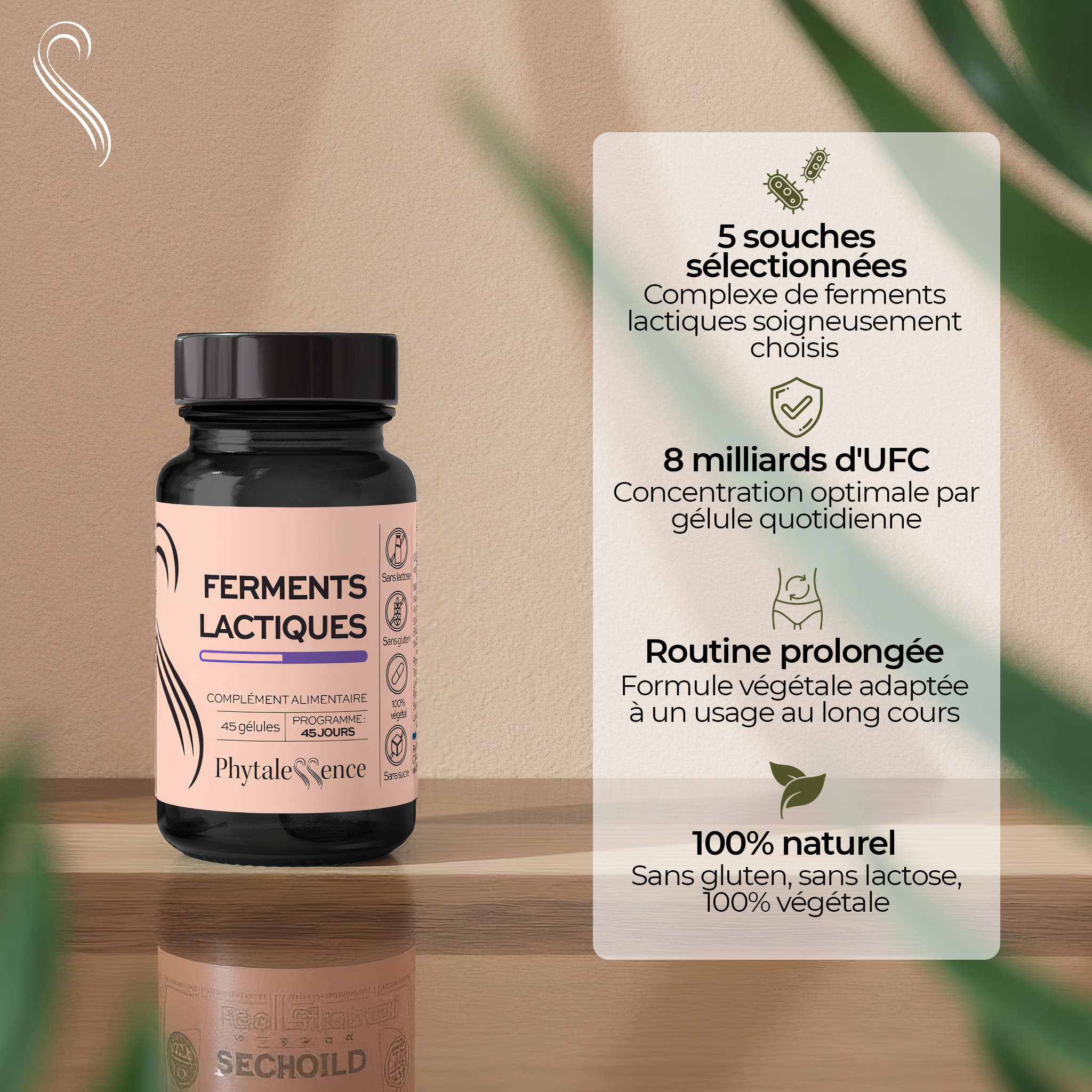 LACTIC FERMENTS