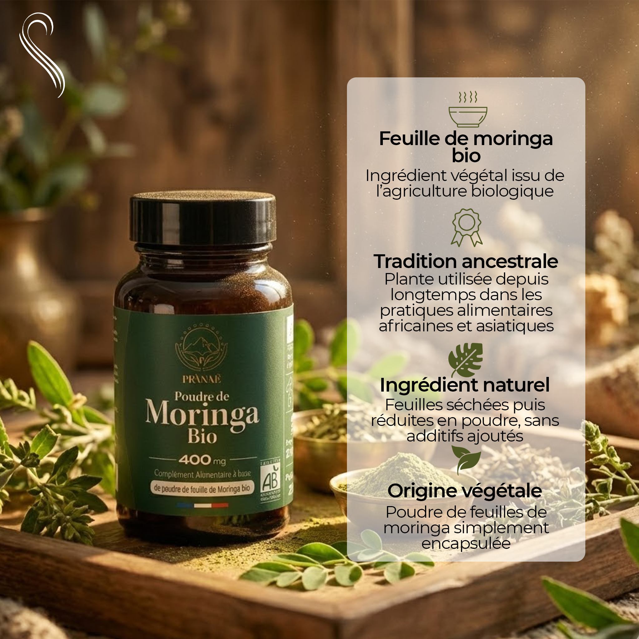 MORINGA - Mono plante Bio