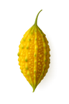 Melón amargo