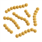 Streptococcus thermophilus