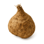 Kudzu