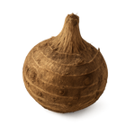 Konjac