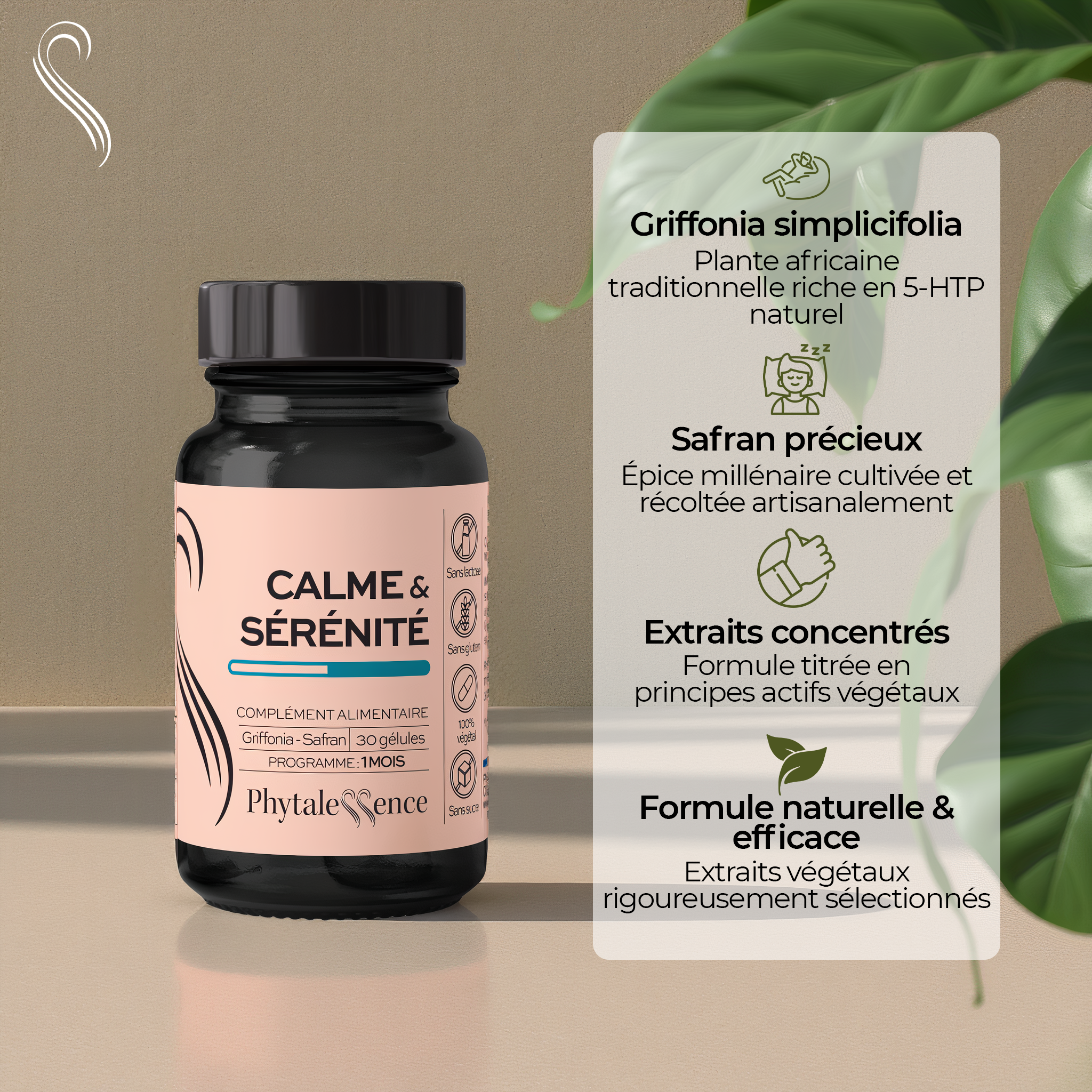 CALMA Y SERENIDAD