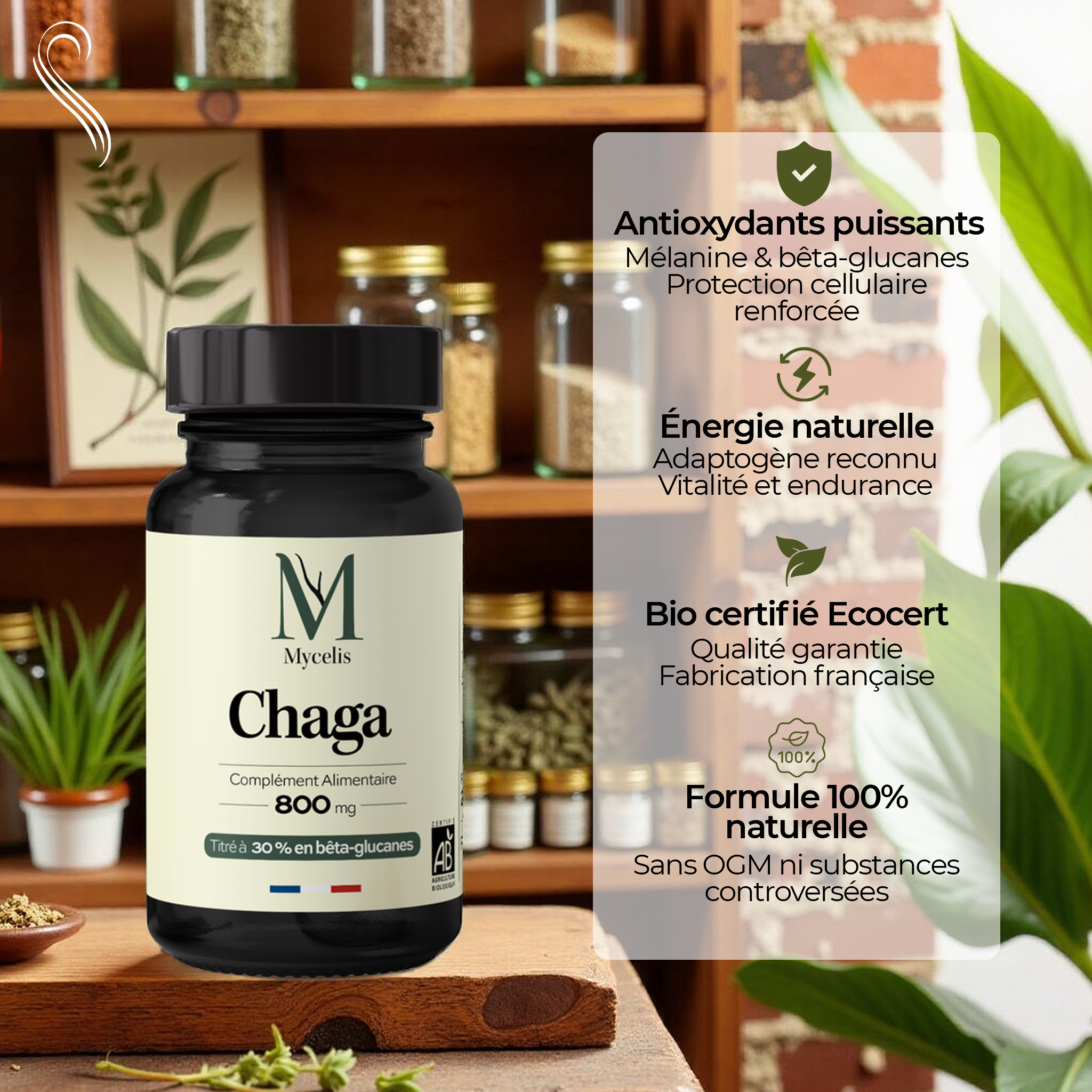 CHAGA - Champignon adaptogène Bio