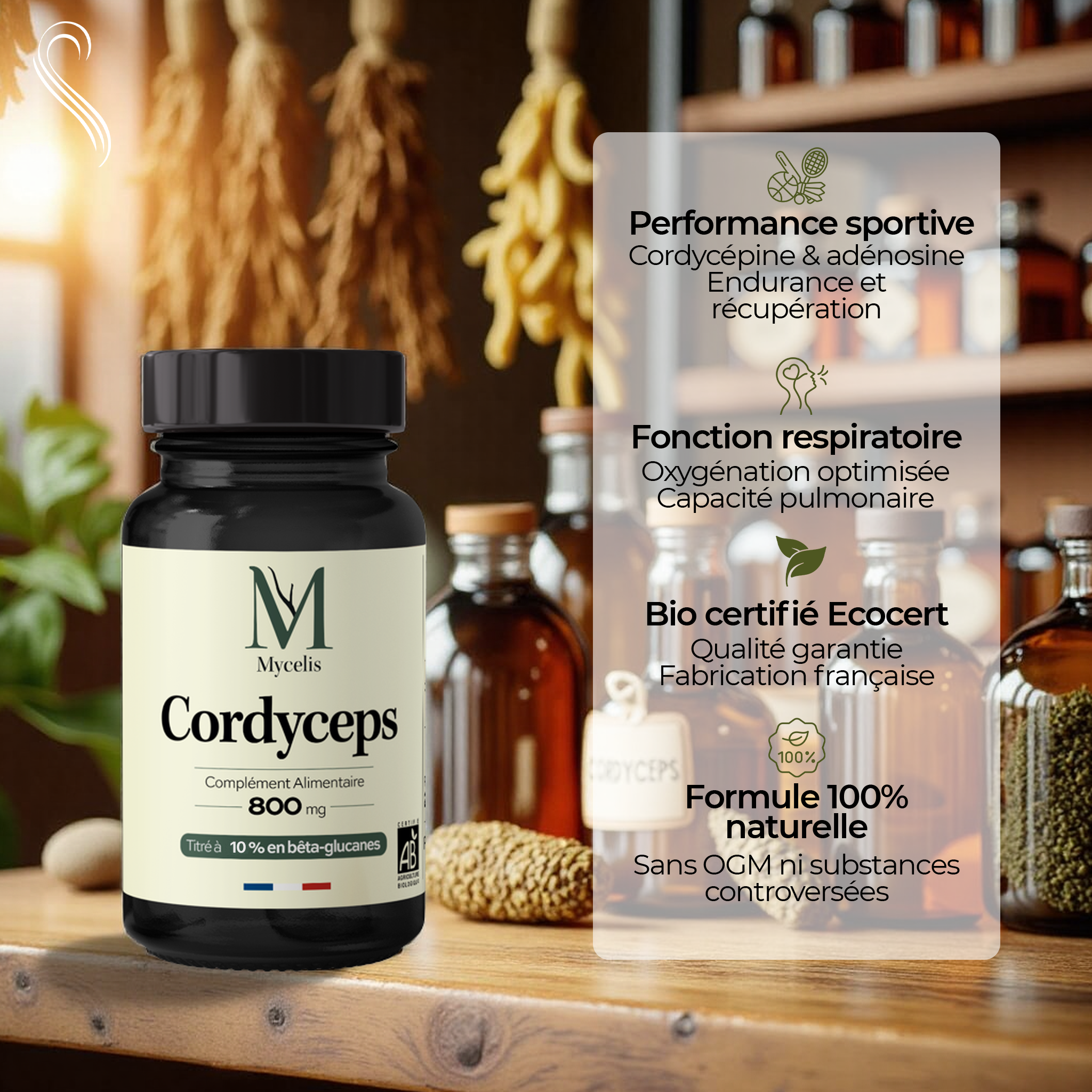 CORDYCEPS - Champignon adaptogène Bio