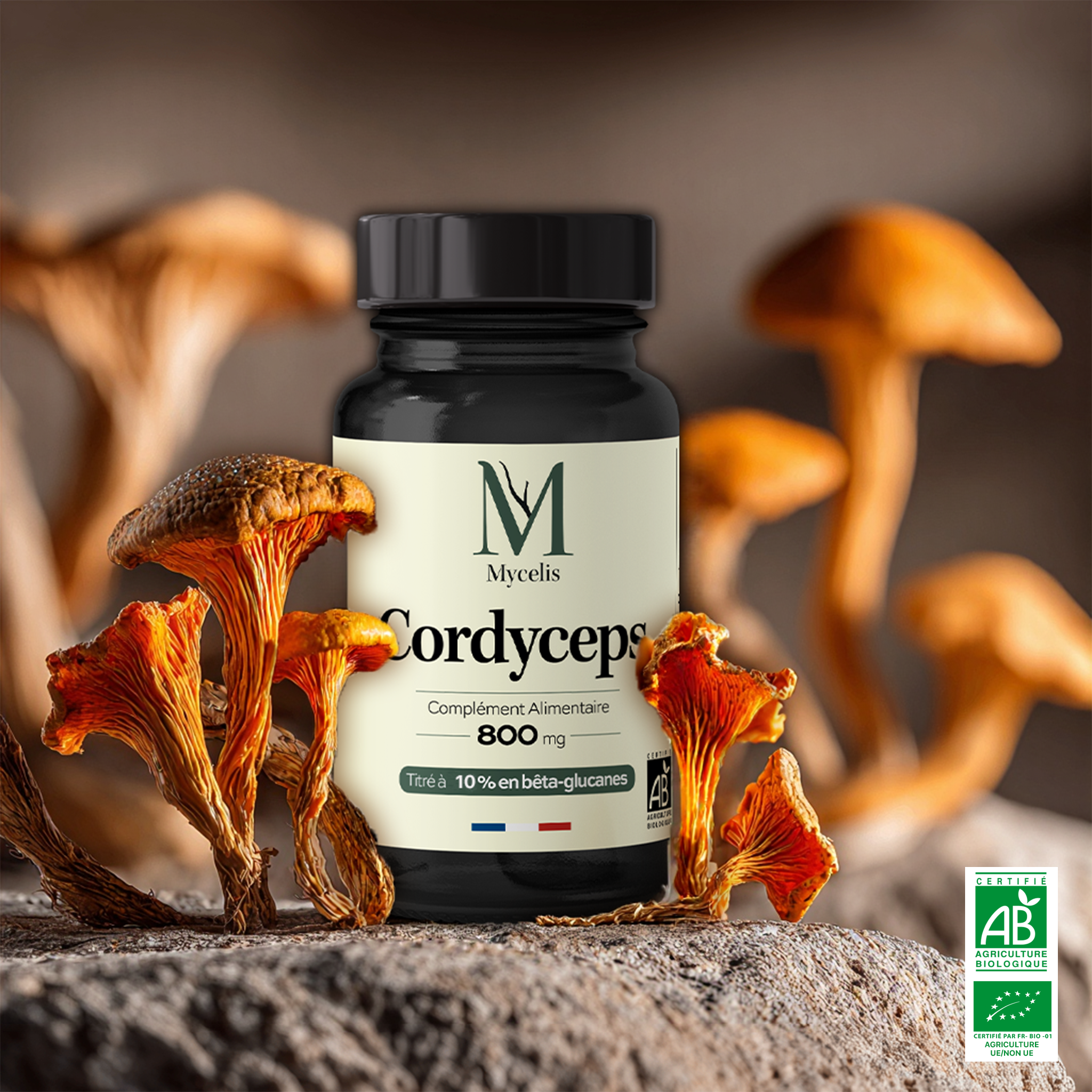 CORDYCEPS - Champignon adaptogène Bio