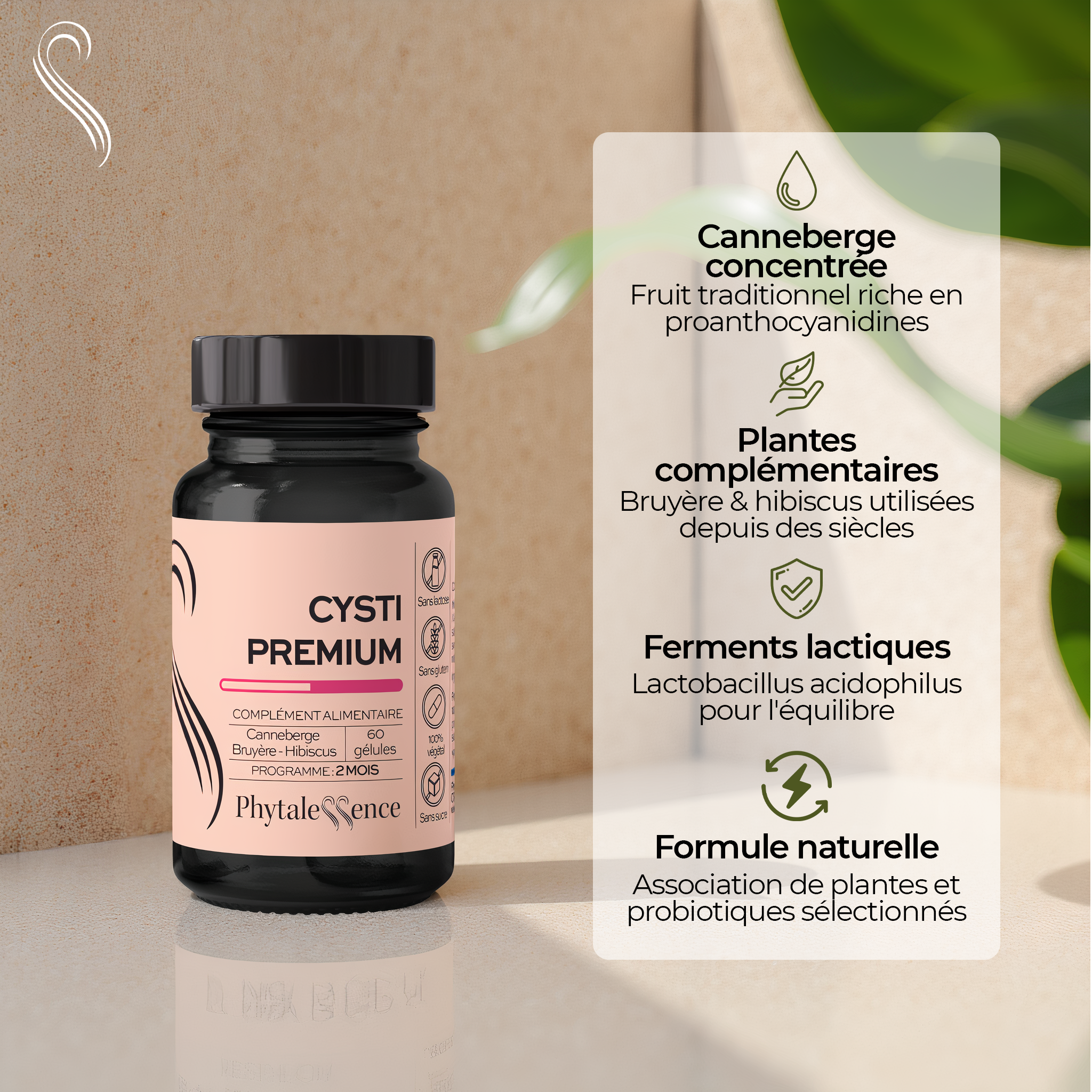 CYSTI PREMIUM