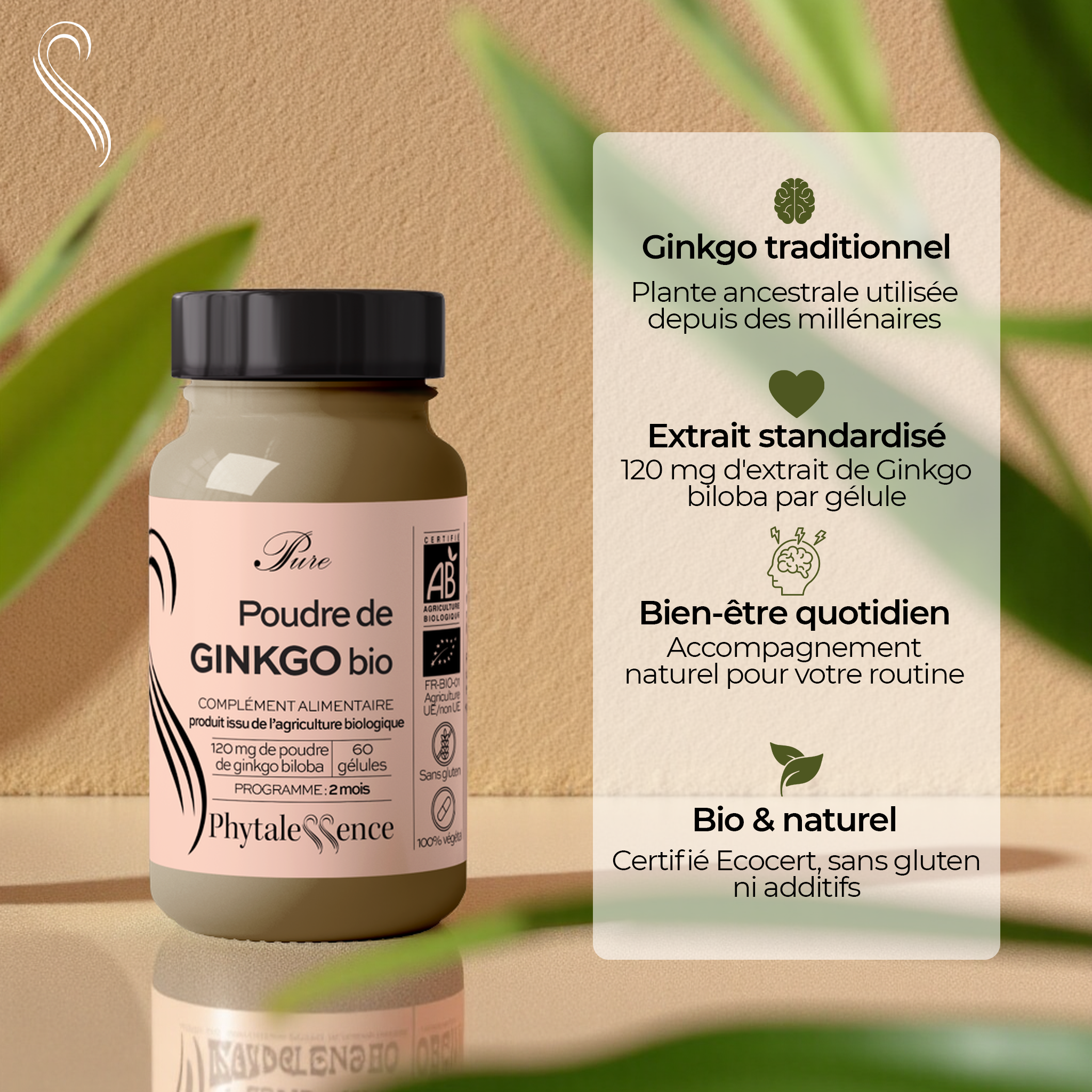 EXTRACTO SECO DE GINKGO ORGÁNICO