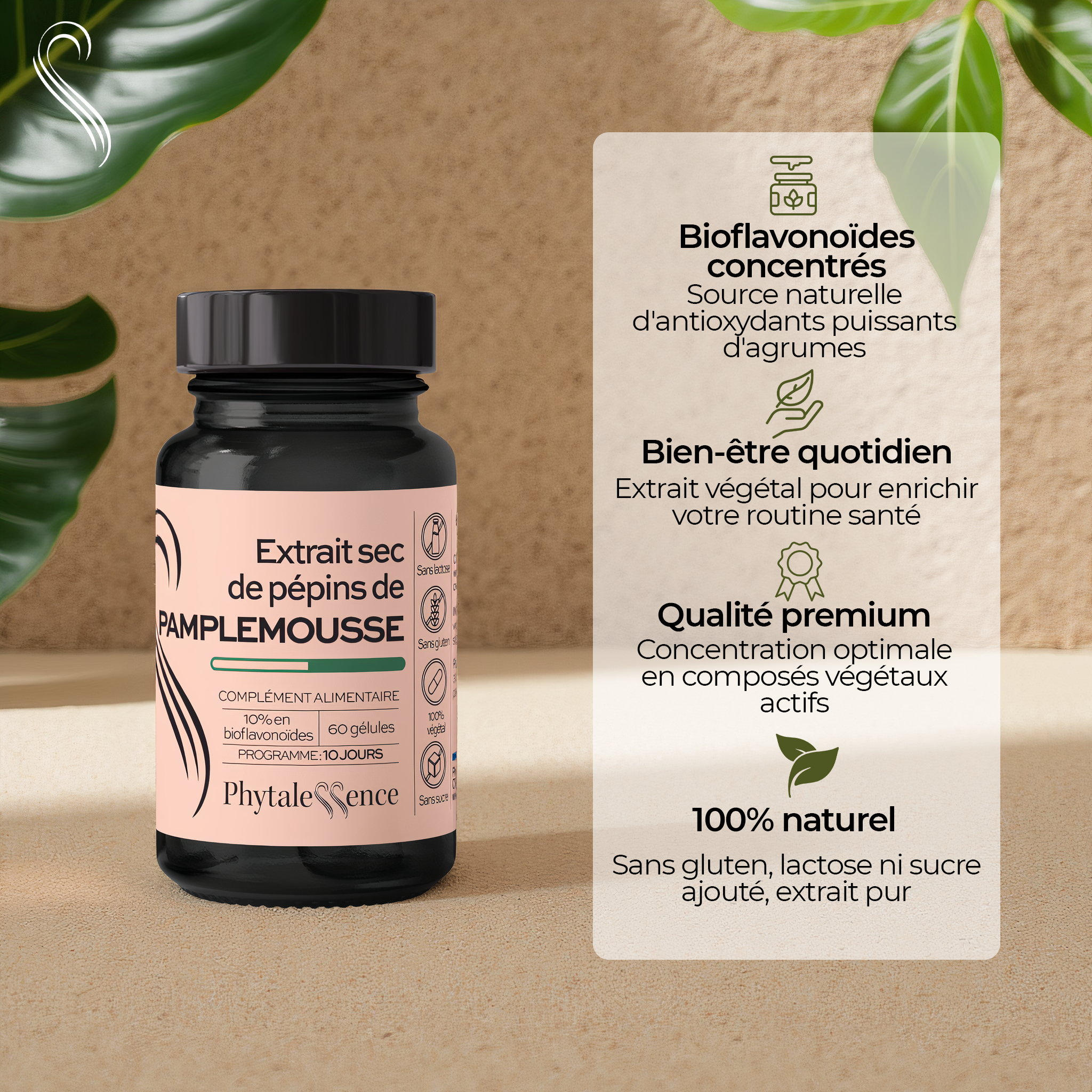 EXTRACTO DE SEMILLA DE POMELO SECA