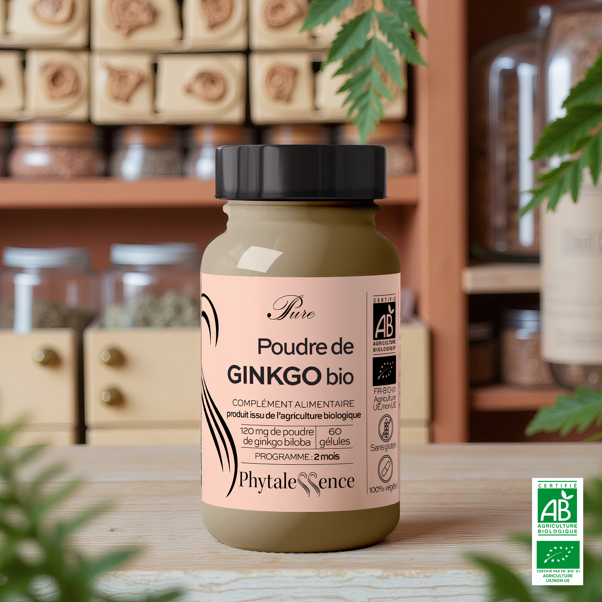 EXTRACTO SECO DE GINKGO ORGÁNICO