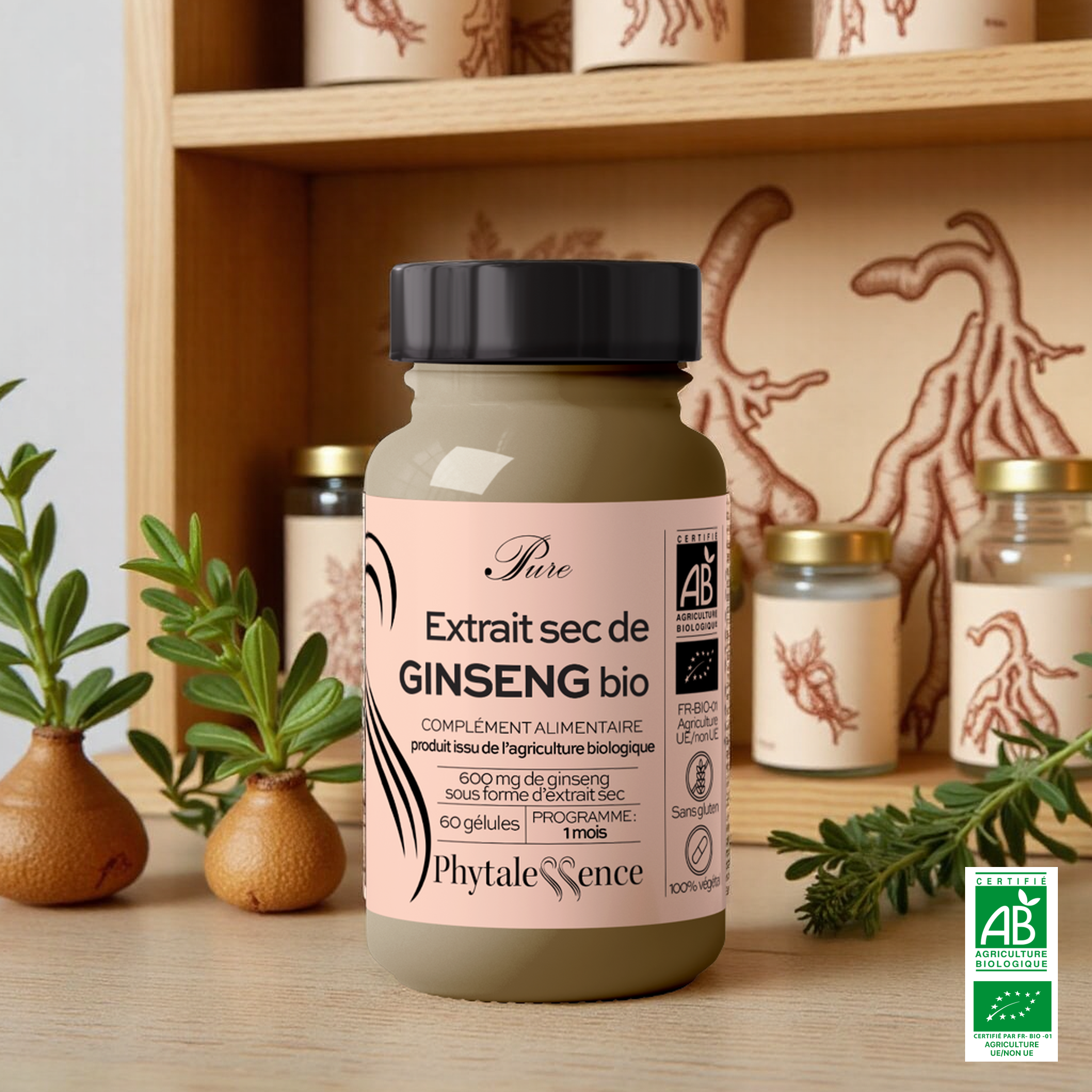 EXTRACTO SECO DE GINSENG ORGÁNICO