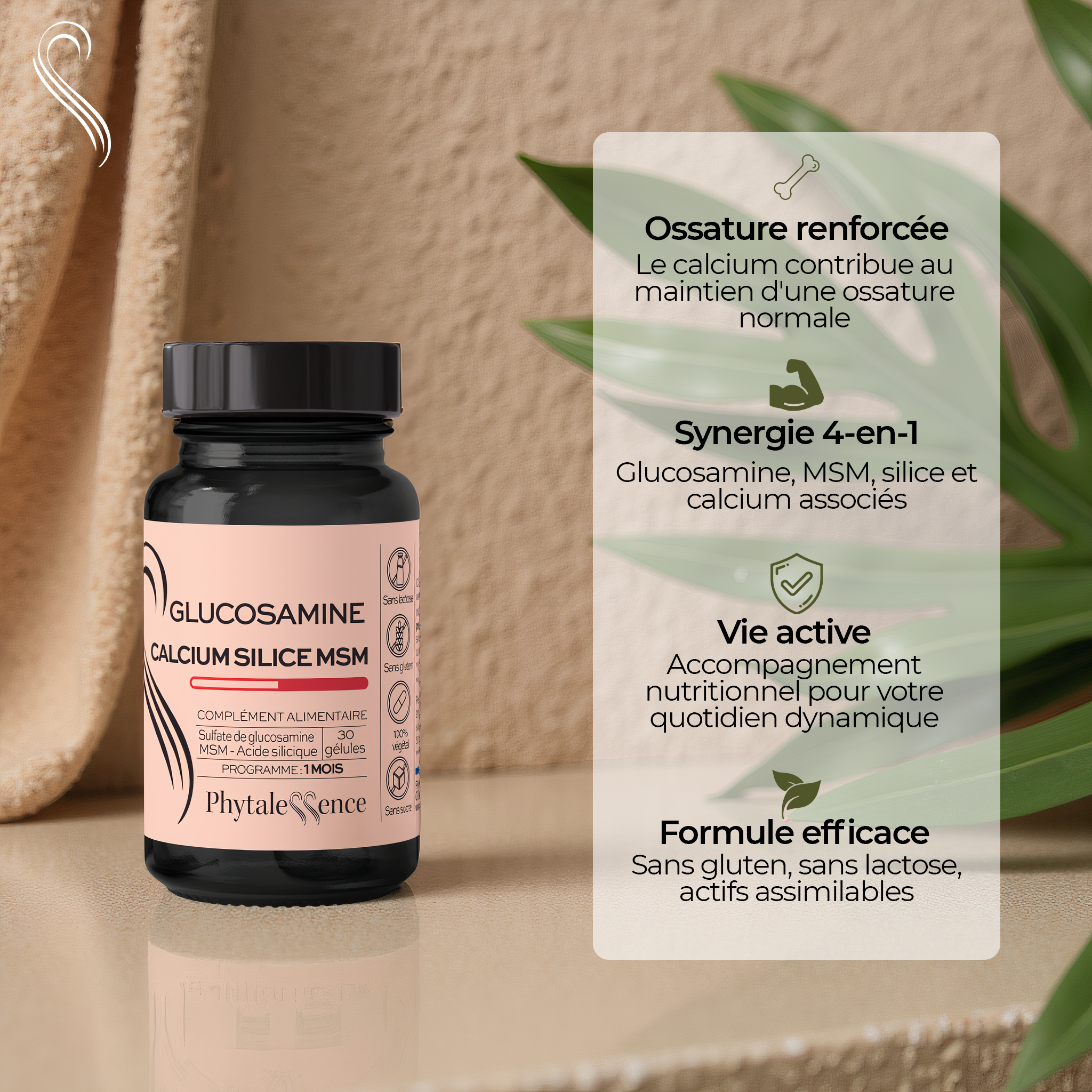 GLUCOSAMINA CALCIO | SÍLICE | MSM