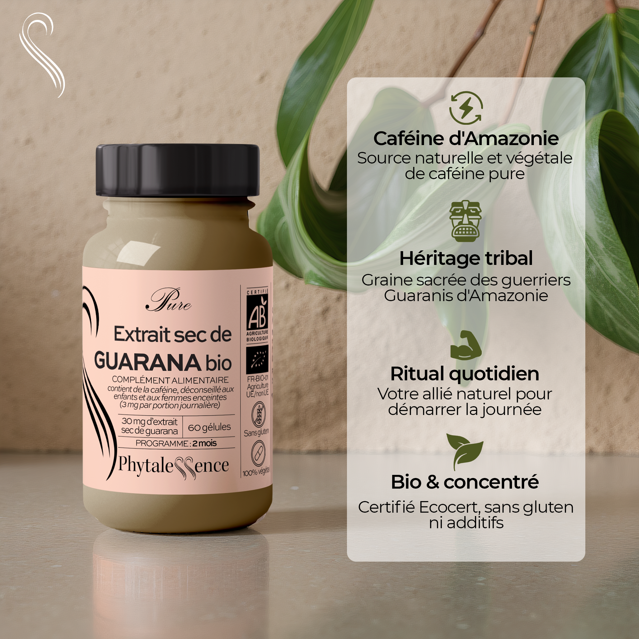 EXTRACTO SECO DE GUARANÁ ORGÁNICO