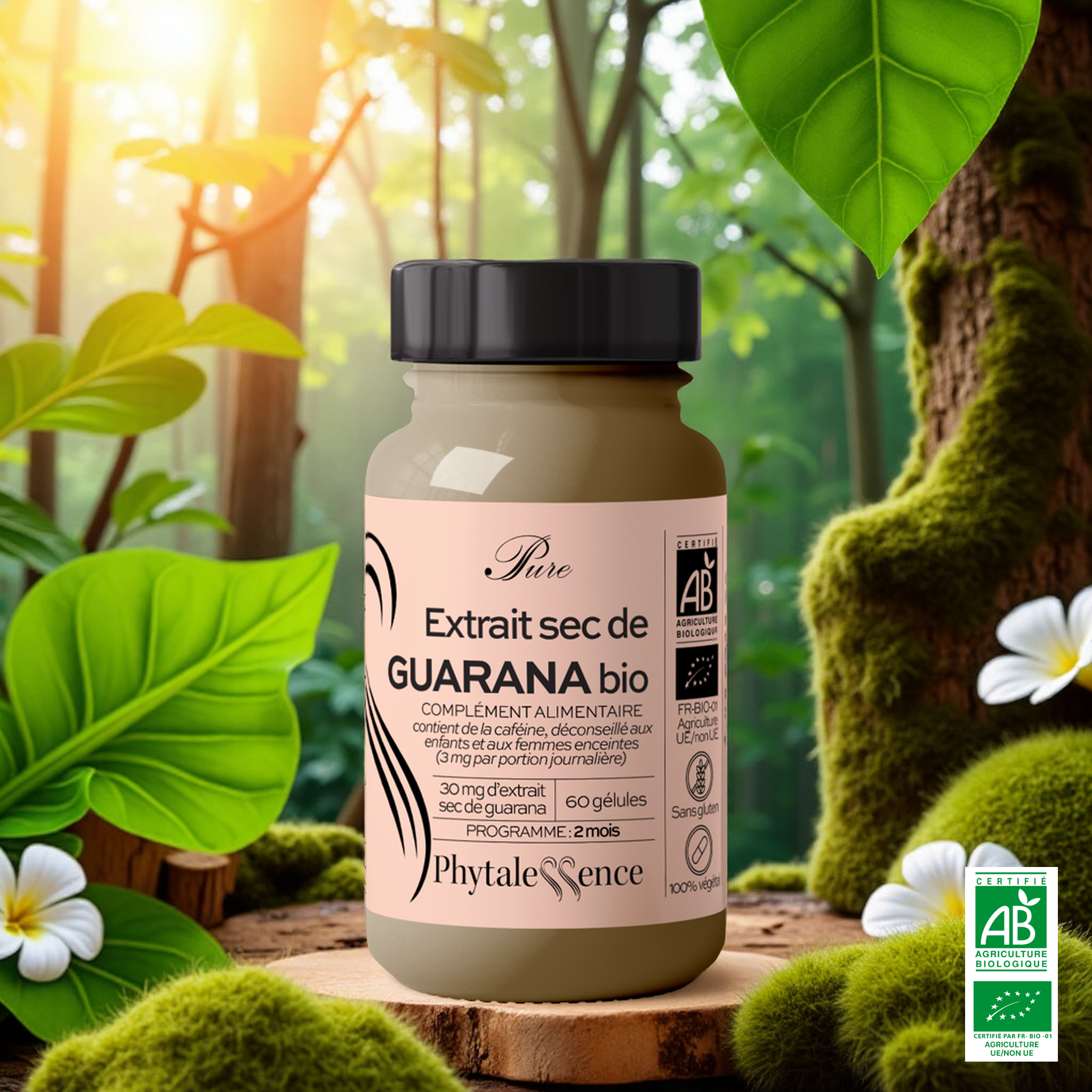 EXTRACTO SECO DE GUARANÁ ORGÁNICO