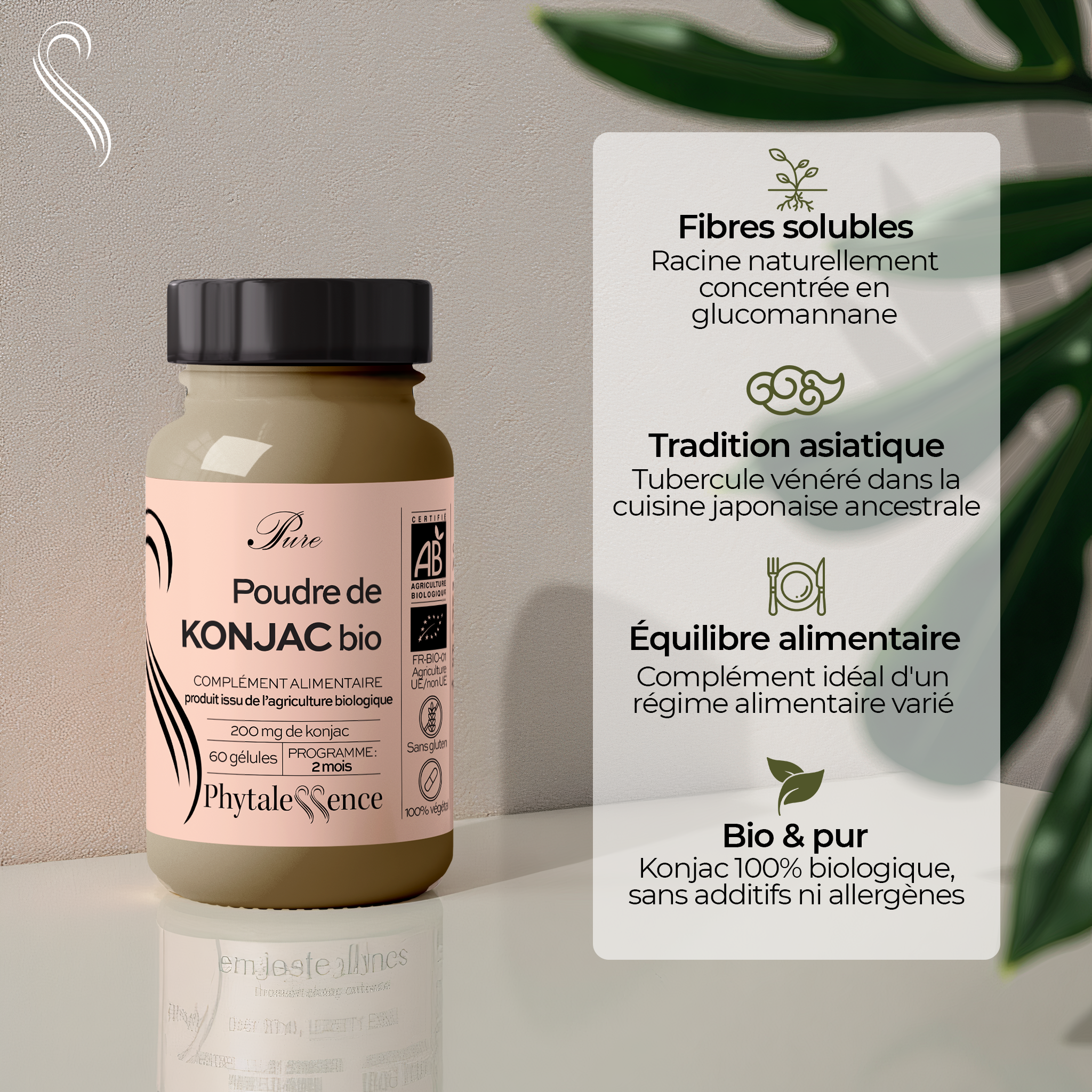 POLVO DE KONJAC ORGÁNICO