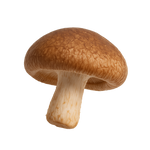 Lentinane