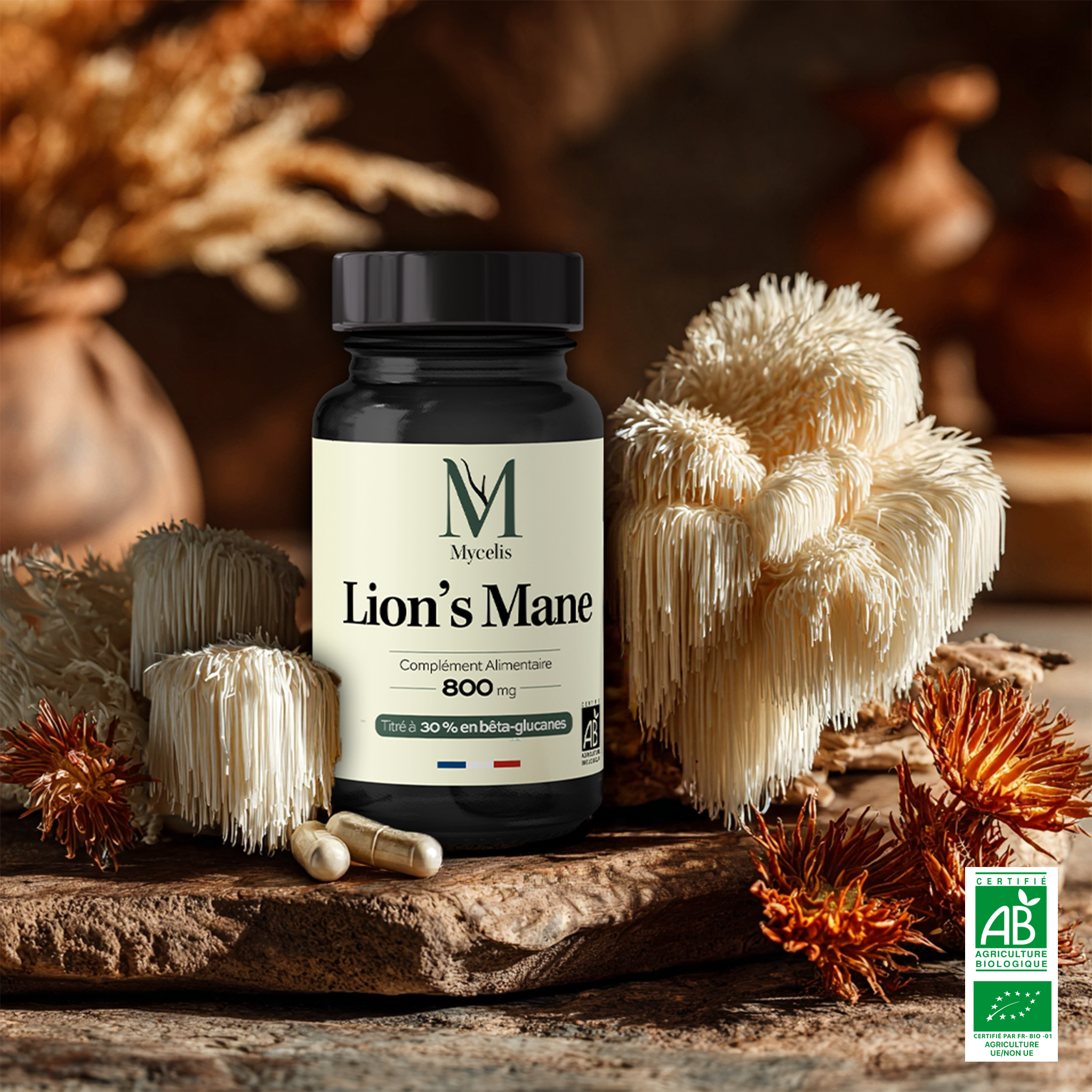 LION'S MANE - Champignon adaptogène Bio