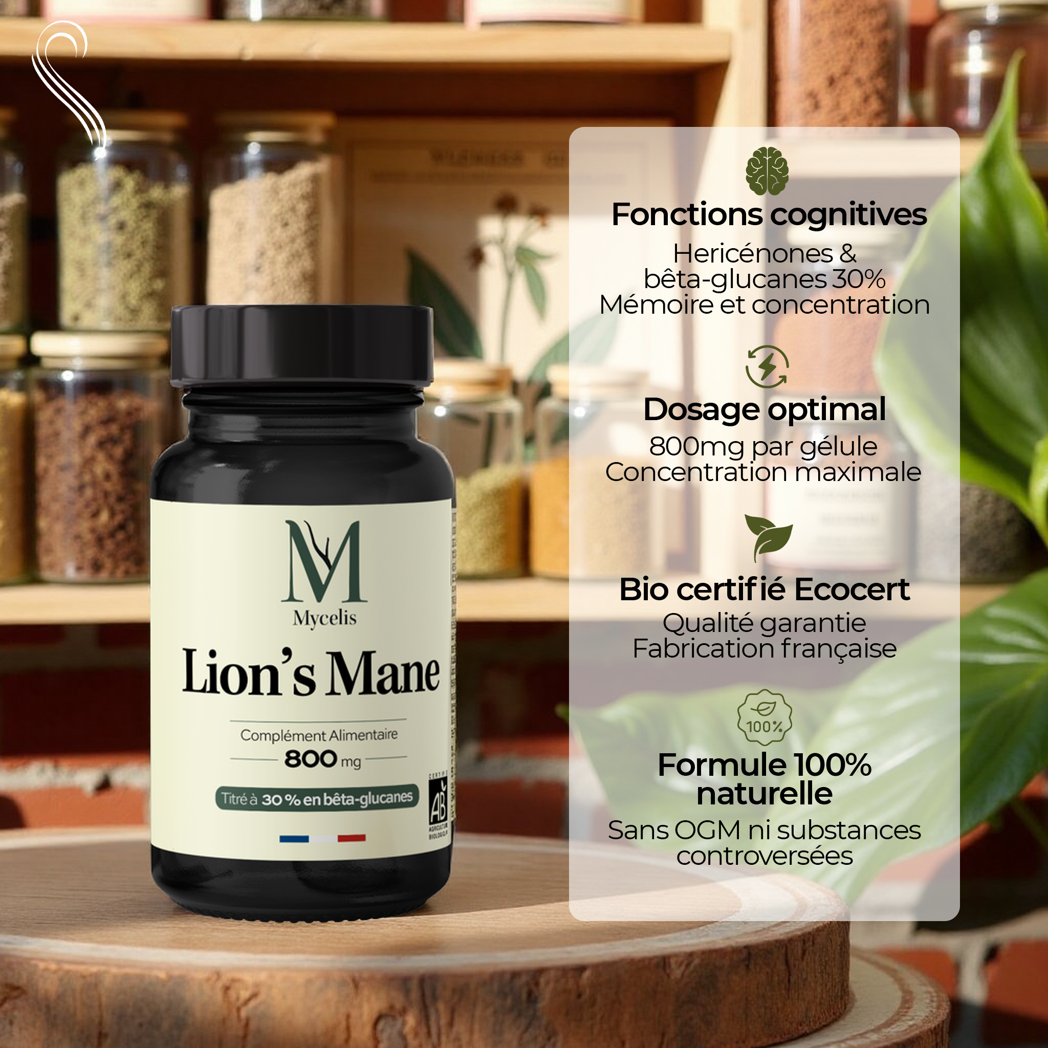 LION'S MANE - Champignon adaptogène Bio
