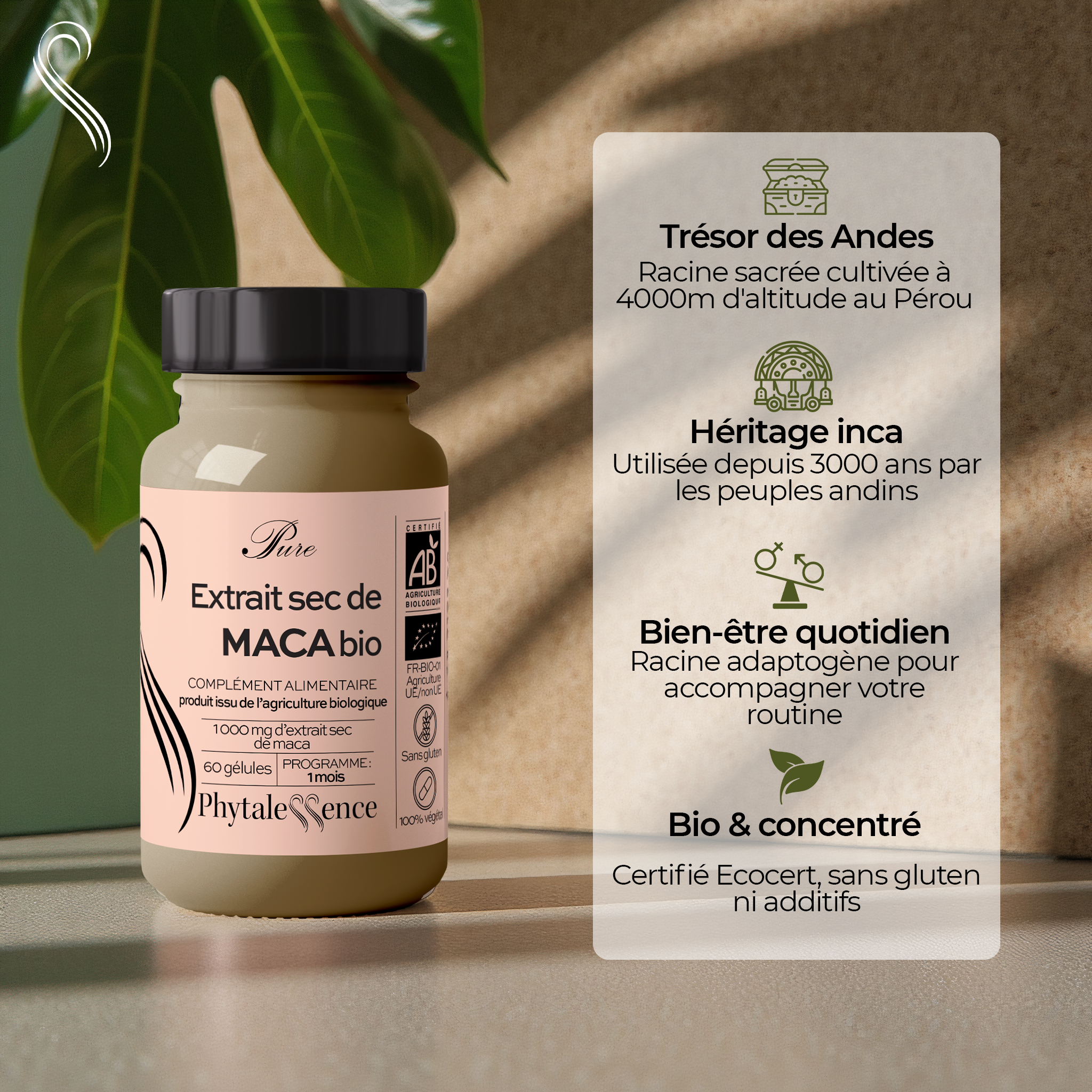 EXTRACTO SECO DE MACA ORGÁNICA
