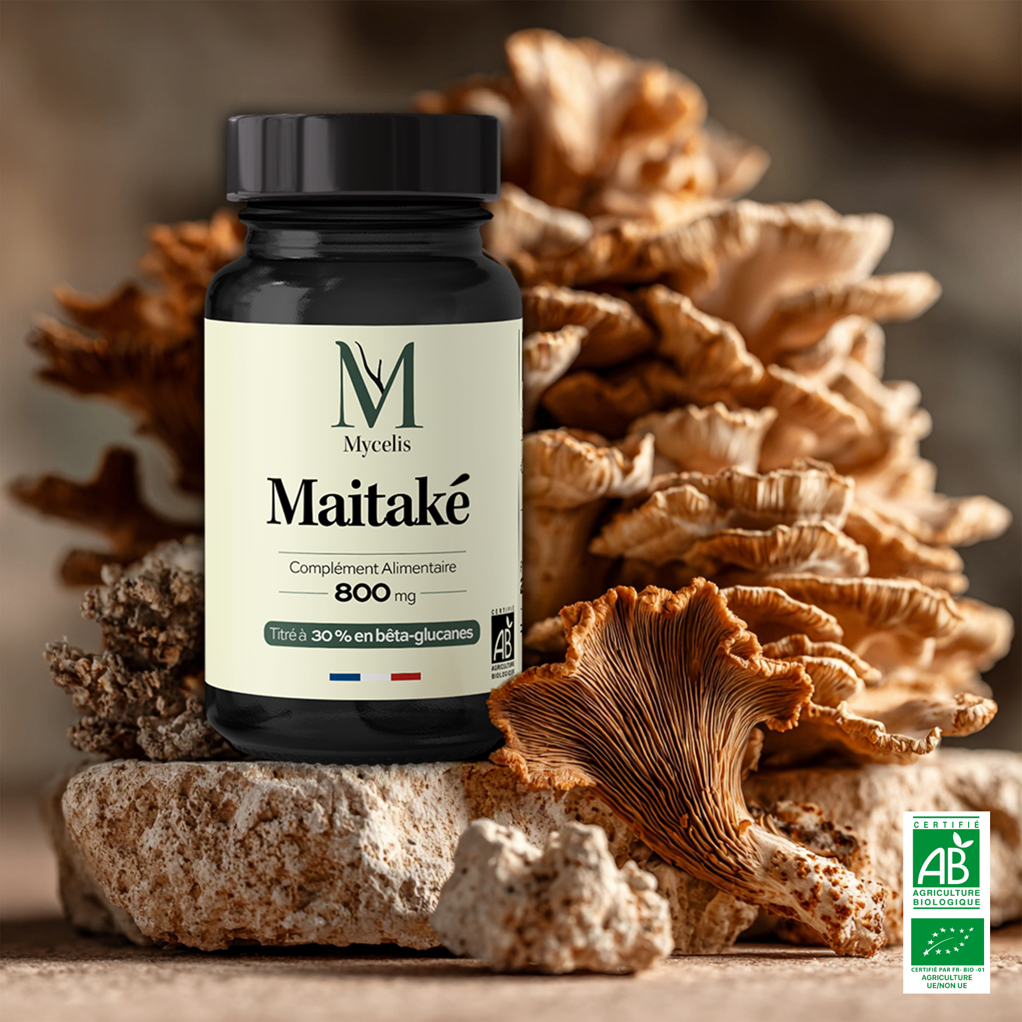 MAITAKÉ - Champignon adaptogène Bio