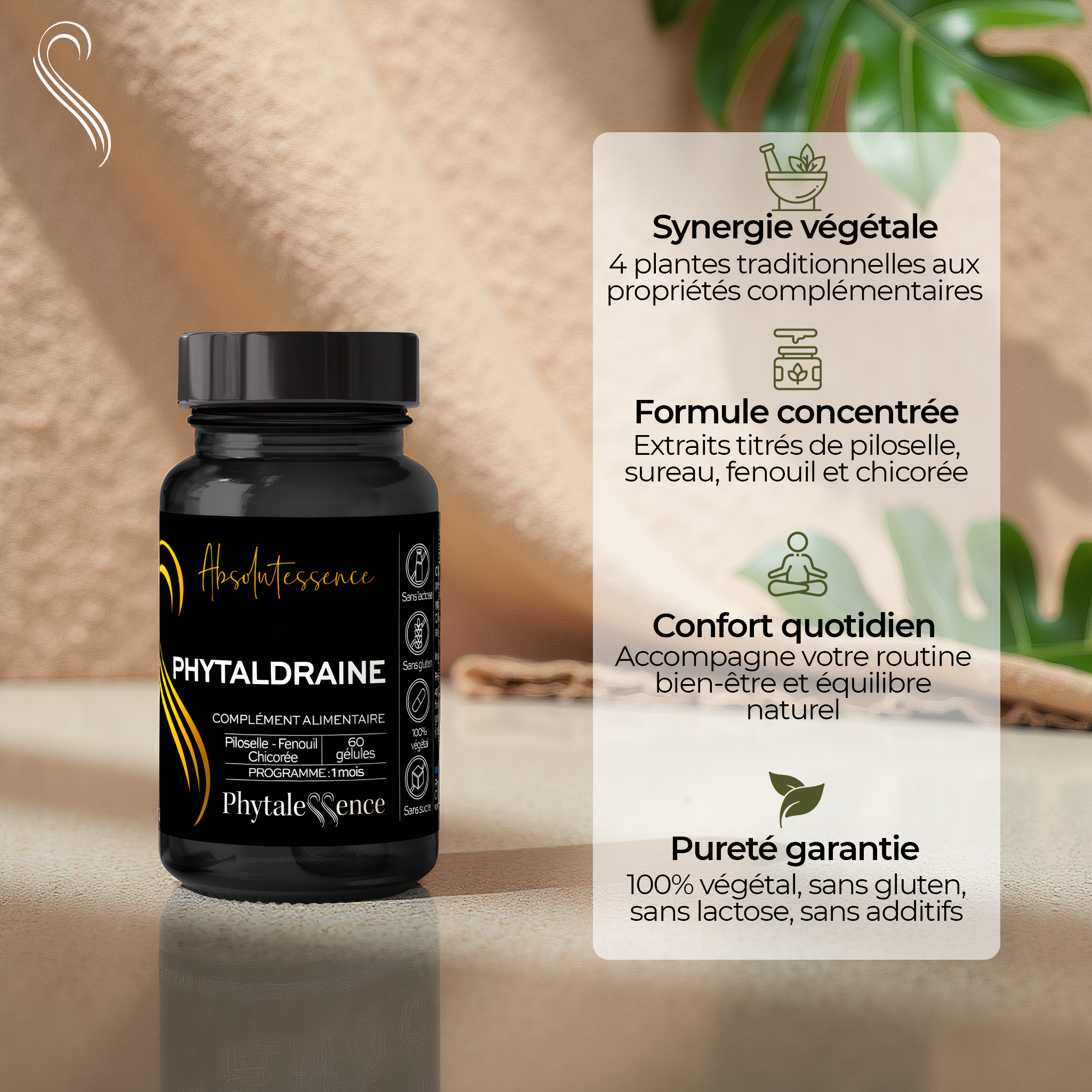 PHYTALDRAINE