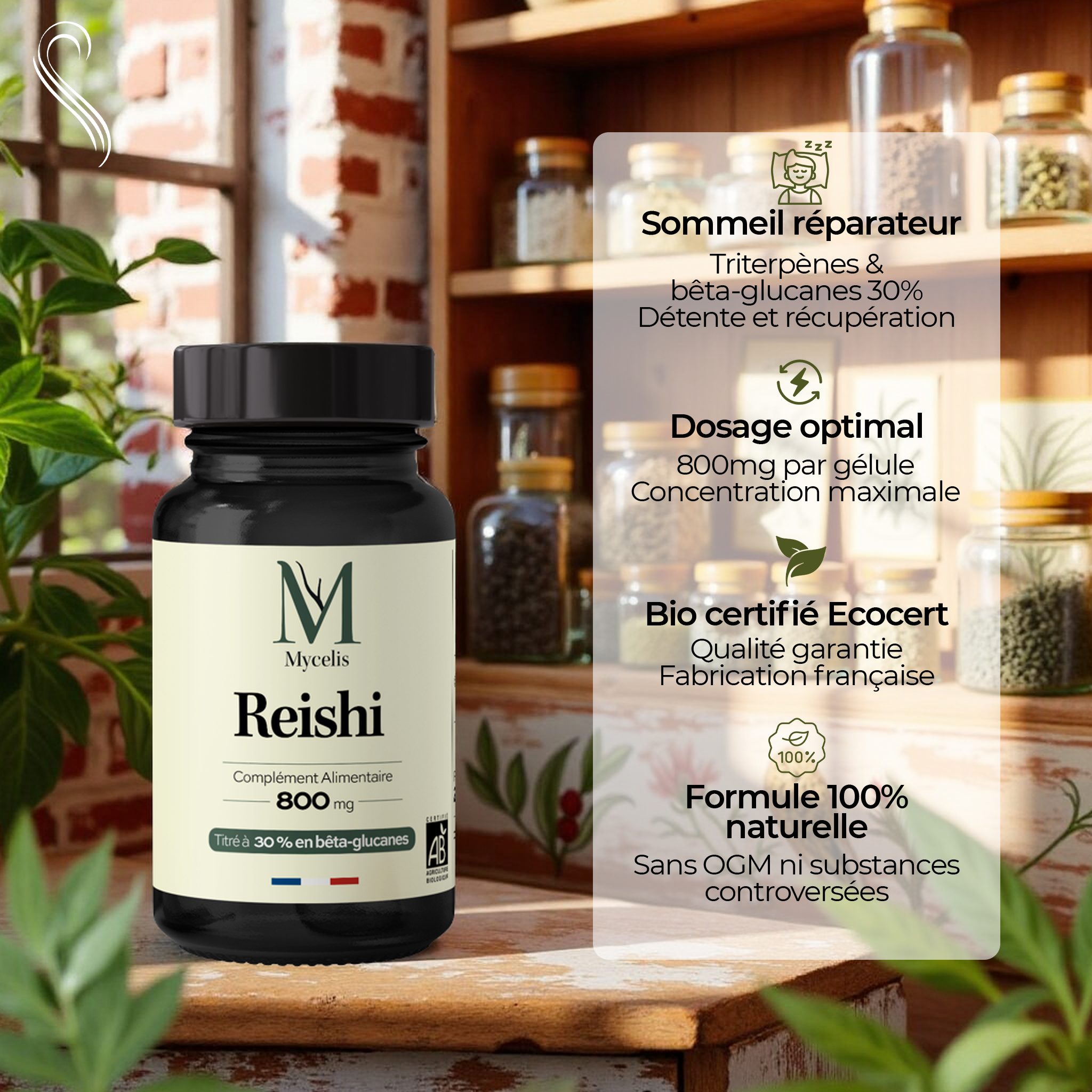 REISHI - Champignon adaptogène Bio