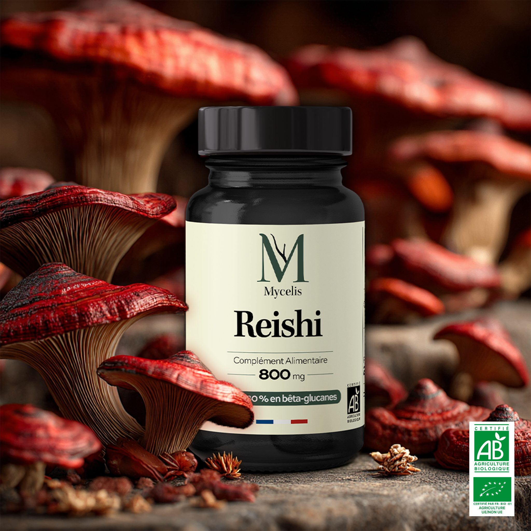 REISHI - Champignon adaptogène Bio