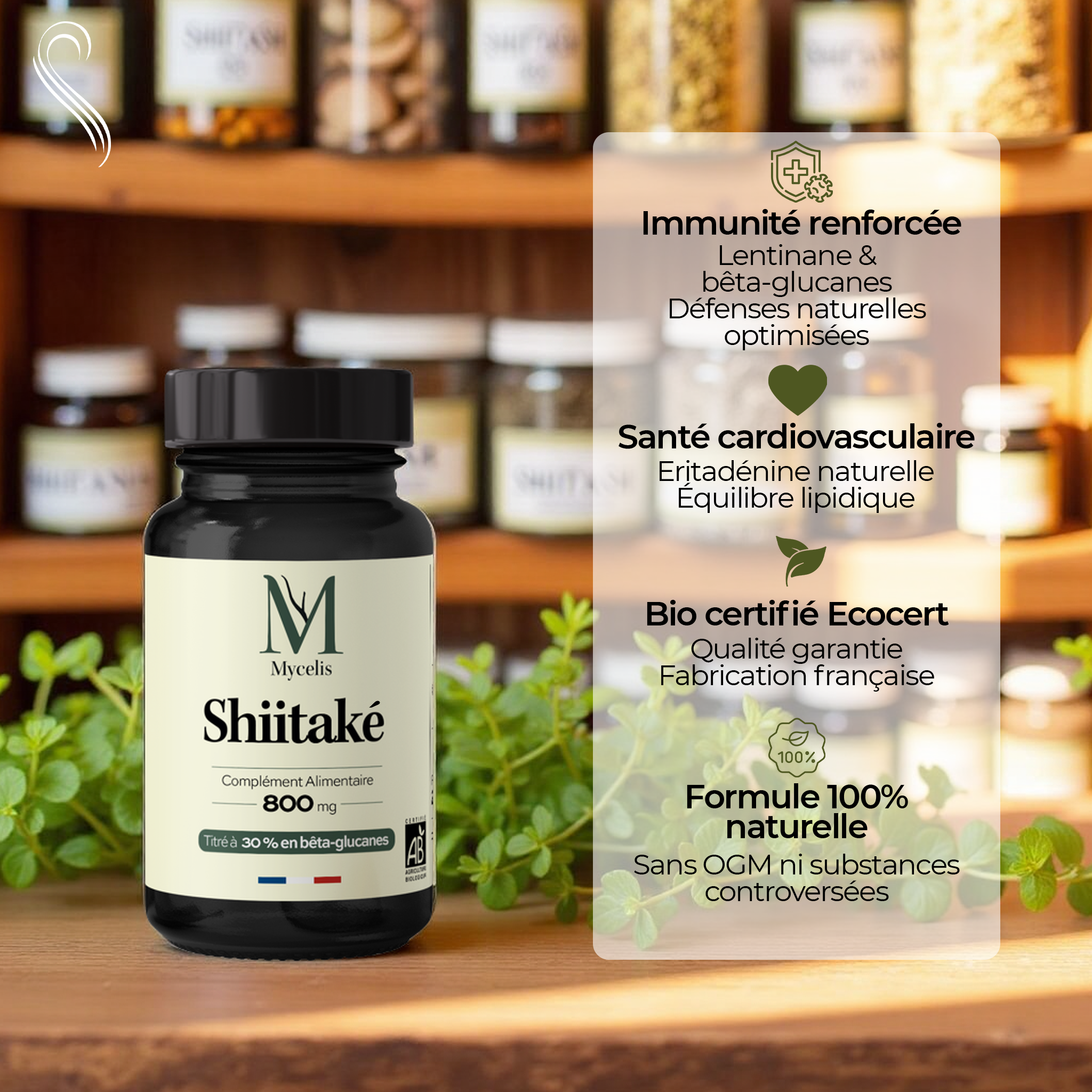SHIITAKÉ - Champignon adaptogène Bio