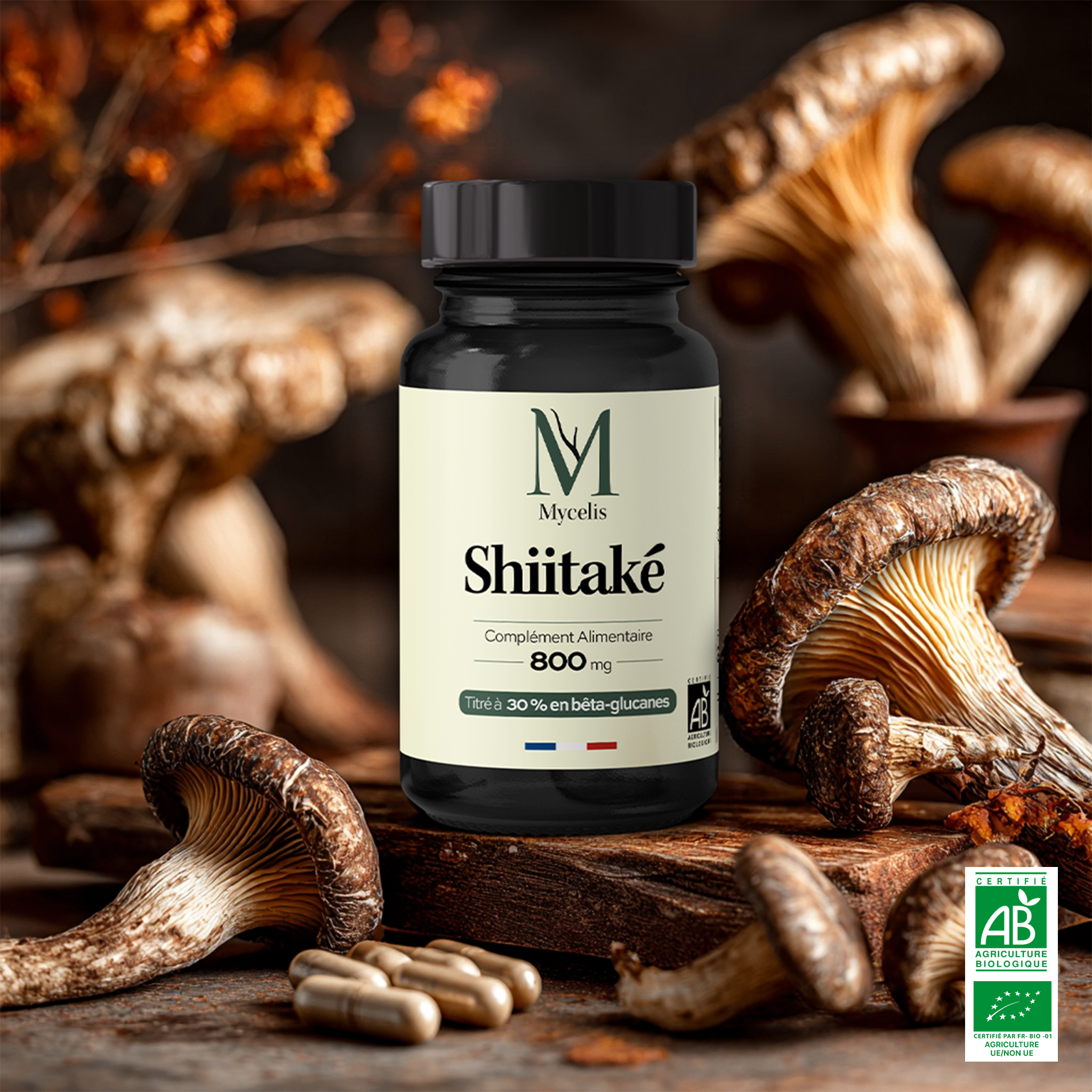 SHIITAKÉ - Champignon adaptogène Bio