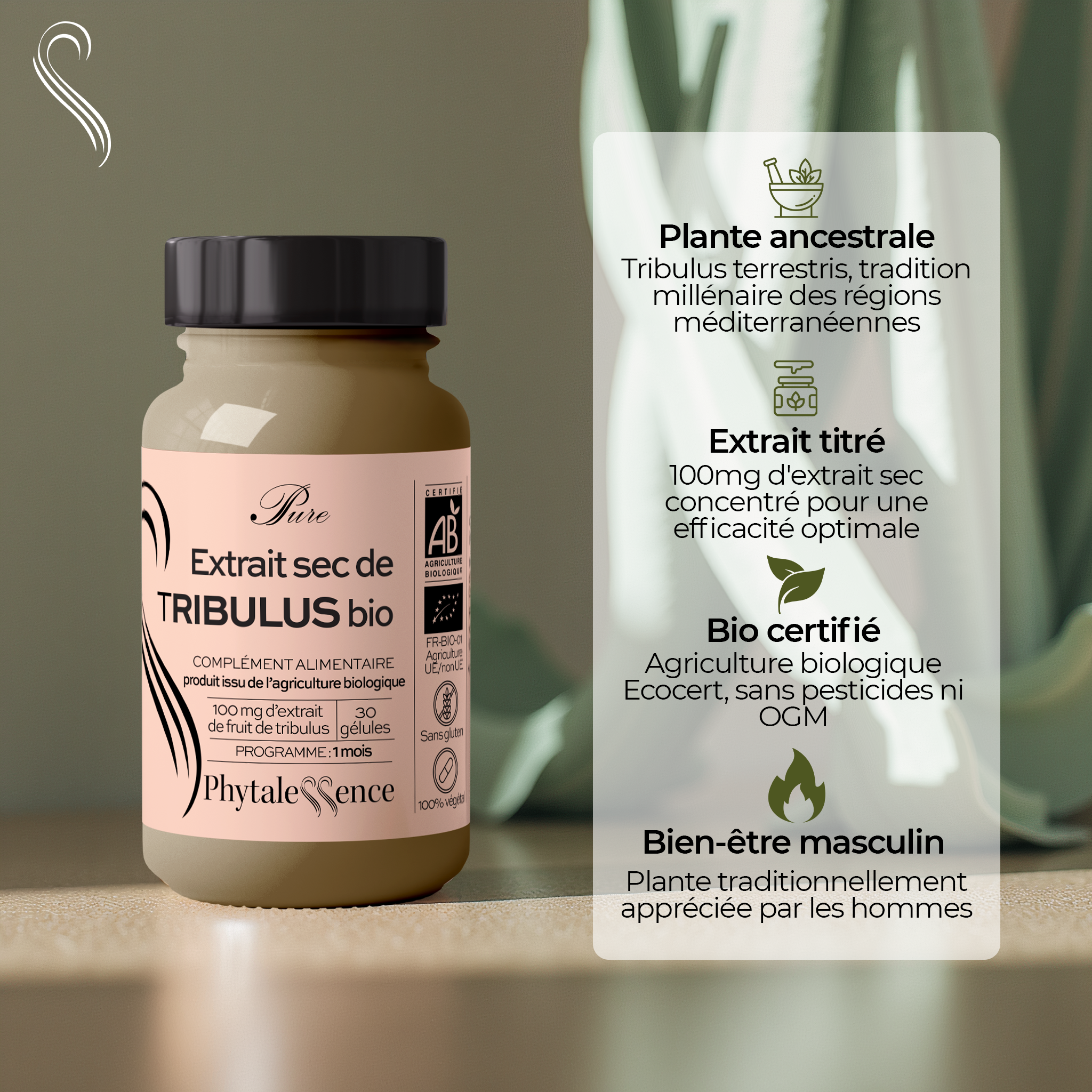 EXTRACTO SECO DE TRIBULUS ORGÁNICO