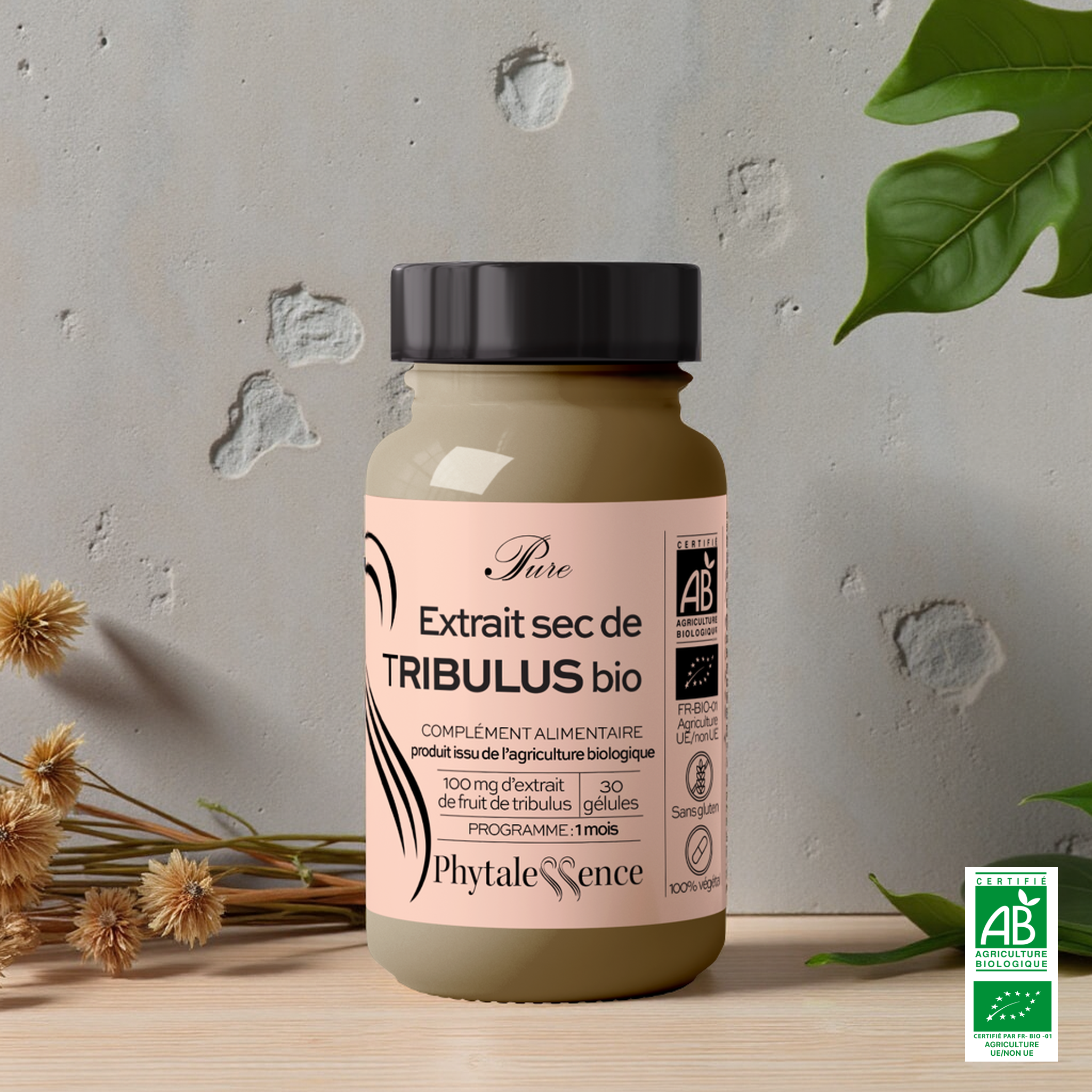 EXTRACTO SECO DE TRIBULUS ORGÁNICO
